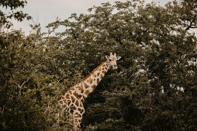 10 Day Discover Namibia Small Group Safari - Day 4: Solitaire, Kuiseb Canyon, And Flamingos