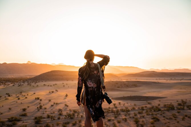 10 Day Discover Namibia Small Group Safari - Day 7: Desert Elephants And Twyfelfontein