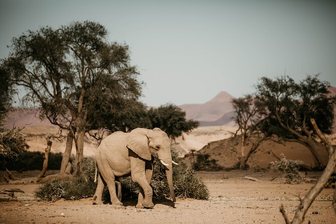 10 Day Discover Namibia Small Group Safari - Day 1: Windhoek And A Gentle Start
