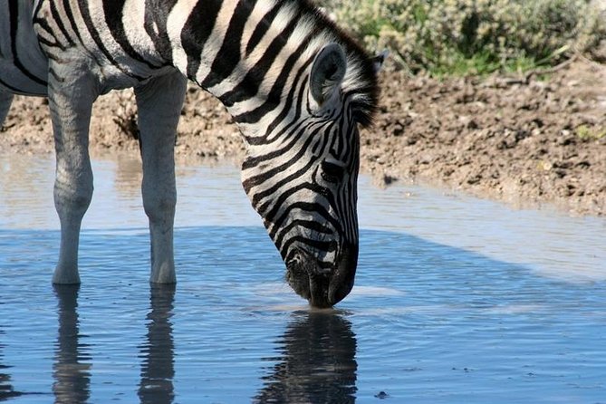 10-Day Namibia Highlights Guided Tour from Windhoek - Day 3: Namib Naukluft National Park and the Tropic of Capricorn