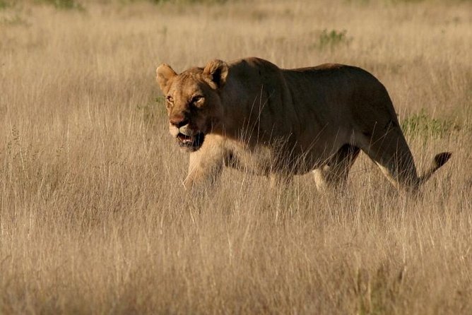 10-Day Namibia Highlights Guided Tour from Windhoek - Days 1 and 2: Spreetshoogte Pass and the red dunes of Sossusvlei