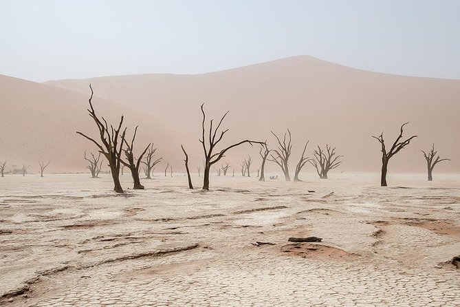 10 DAYS BEAUTY OF NAMIBIA | Guided Lodge - Why this route works for a first visit to Namibia