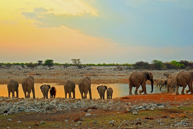 10 DAYS BEAUTY OF NAMIBIA | Guided Lodge - Day 3: Himba traditions and the Damara Living Museum