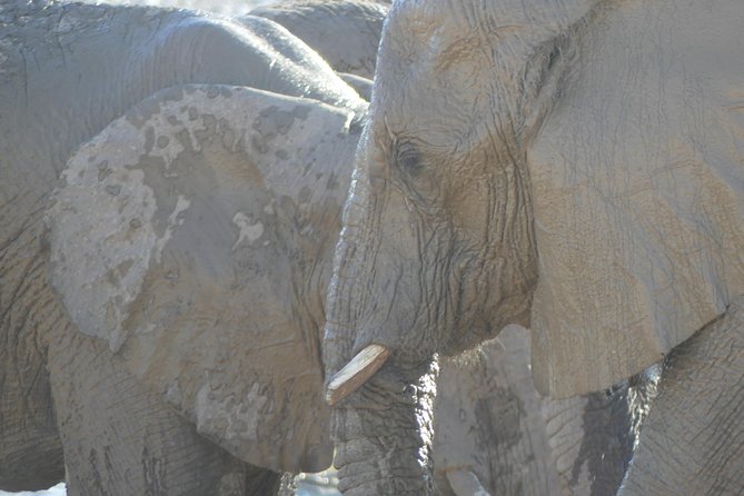 10 Namibia Adventures - What you are paying for at $1,644.55