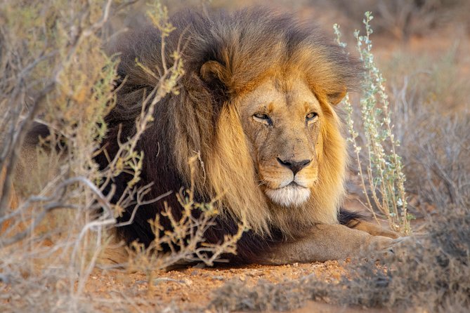 10 Namibia Adventures - Day 5: Sossusvlei, Deadvlei, and Sesriem Canyon