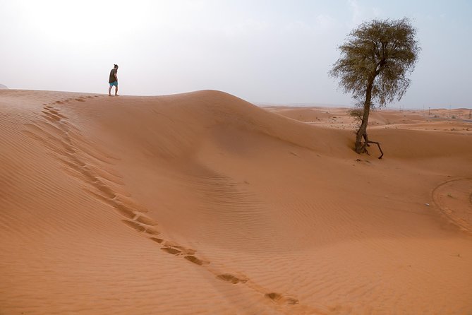 10 Namibia Adventures - Day 6: The long road to Swakopmund and Walvis Bay