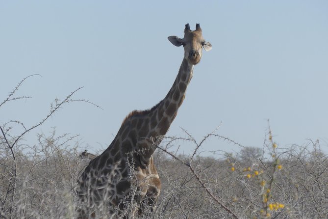 10 Namibia Adventures - Day 1: Windhoek and a practical airport arrival