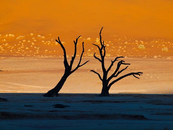 11 Days Small Group Namibia Experience Fully Accommodated Tour - Key things to know before booking