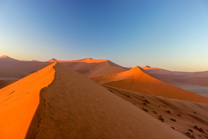 11 Days Small Group Namibia Experience Fully Accommodated Tour - A bushmen walk and the road toward Sossusvlei