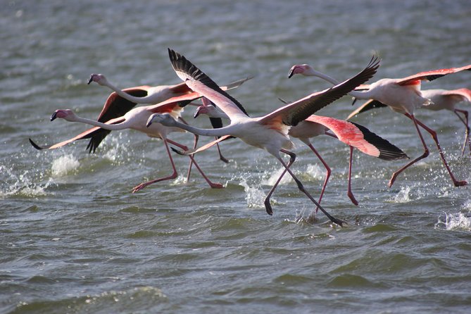 11 Days Small Group Namibia Experience Fully Accommodated Tour - Himba culture and the first Etosha game drive