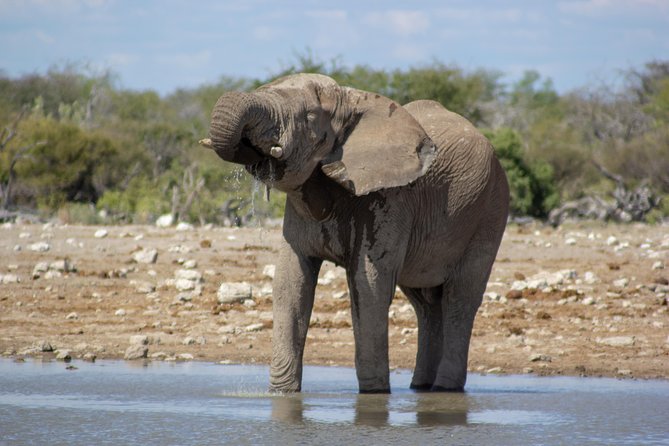 11 Days Small Group Namibia Experience Fully Accommodated Tour - Dead Vlei, Dune 45, and Sesriem Canyon