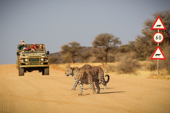 12 Day Classic Namibia Camping Safari - Why this route works for a first Namibia trip