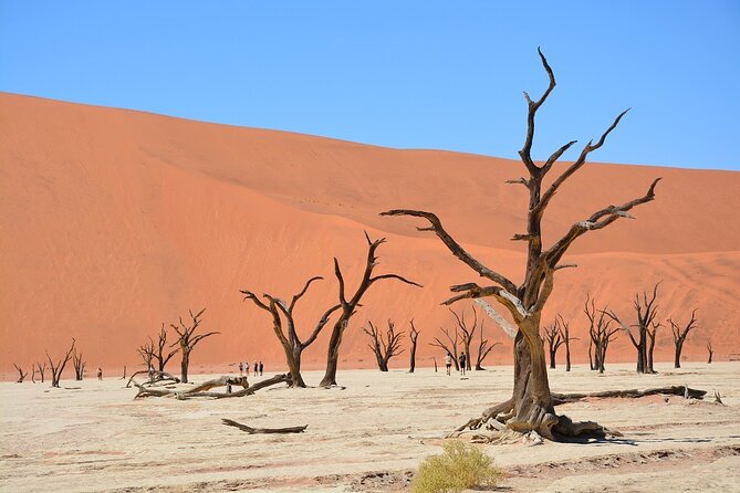 2 Days Guided Tour in Sossusvlei and Sandwich Harbor - Why this two-day route works so well