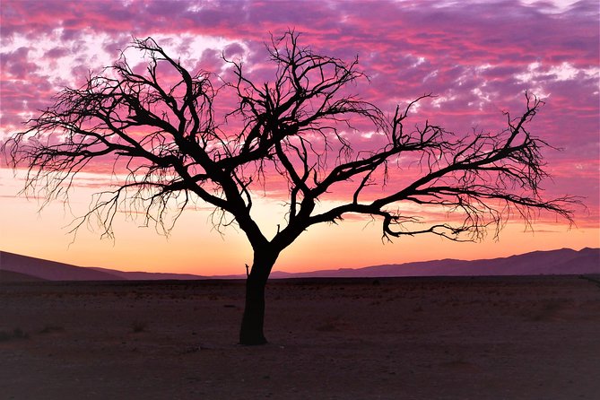 2 Days Sossusvlei Private Camping Tour - What the $489.96 price really covers