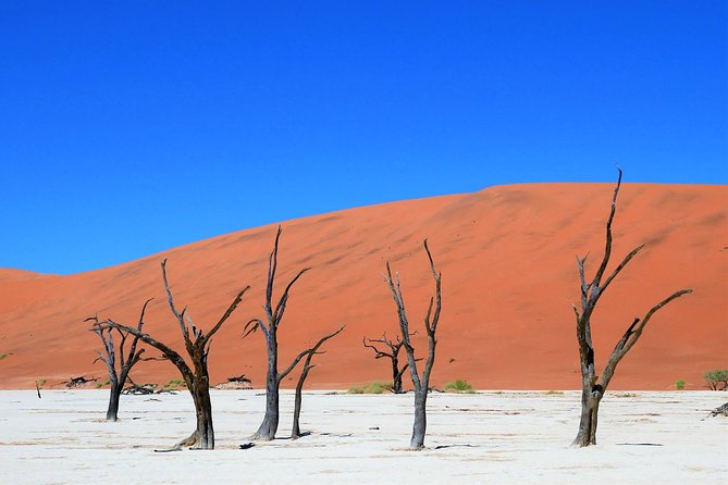 2 Days Sossusvlei Private Camping Tour - Camping overnight near Sossusvlei