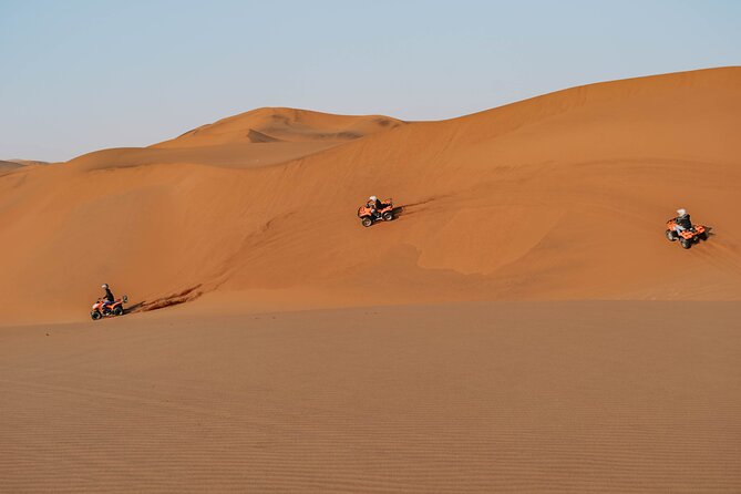 2h30min Explorer Quad Bike Tour - Why the Wildlife Stops Matter