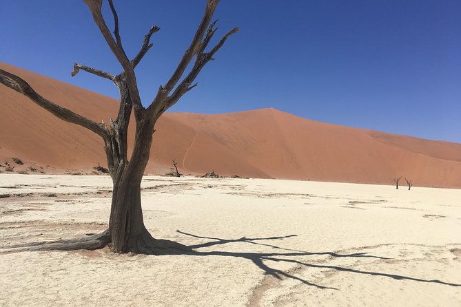 3 Day Camping safari at Sossusvlei - Sesriem Canyon adds a different kind of desert