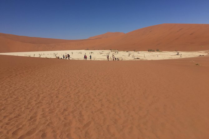 3 Day Camping safari at Sossusvlei - Day 2: Deadvlei and the climb toward Big Daddy