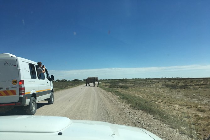 3 Day Camping tour at Etosha National Park - Day Three: the long road back to Windhoek