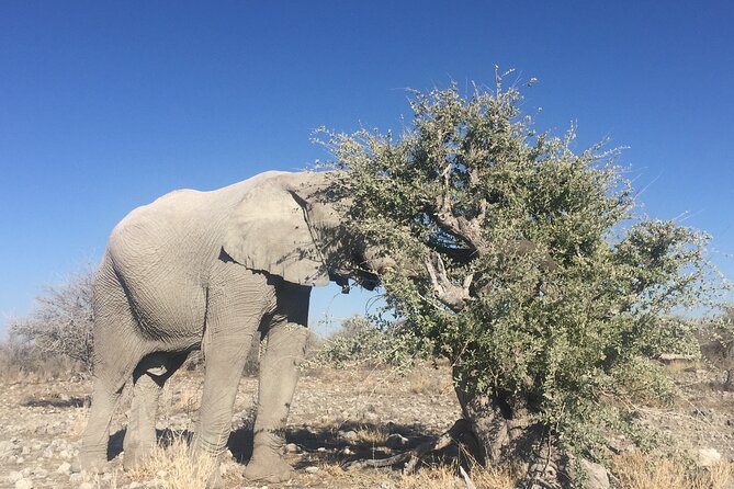 3 Day Camping tour at Etosha National Park - The drive north from Windhoek on Day One