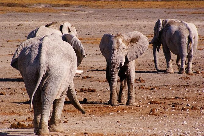 3 Day Etosha Budget Camping Safari - Camping Comfort and What You Need to Pack
