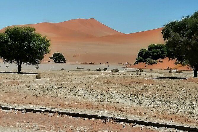 3-Day Scenic Sossusvlei Adventure in Namibia from Swakopmund - Sesriem Canyon explains the desert’s water