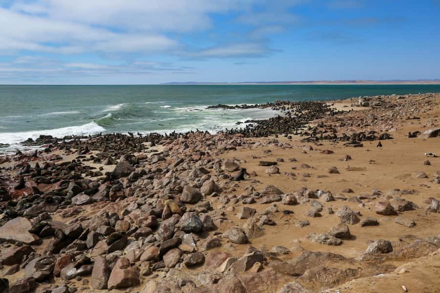 3 day Sossusvlei Camping - Key Things to Know Before Booking