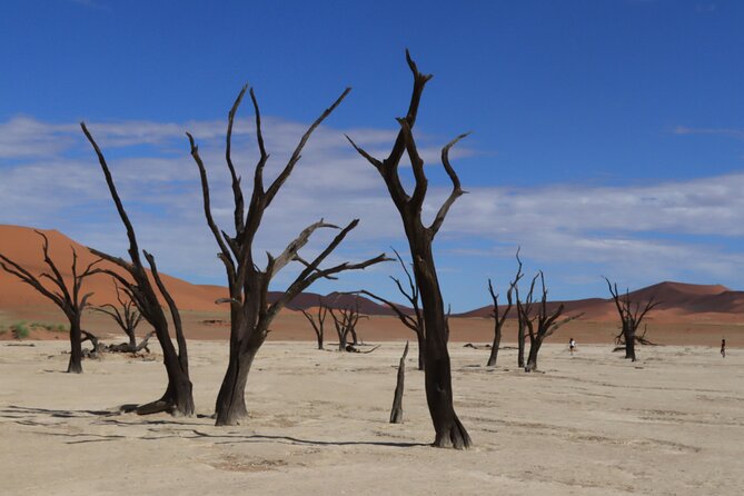 3 Day Sossusvlei Camping Schedule and Sandwich Habor - Why this three-day route works