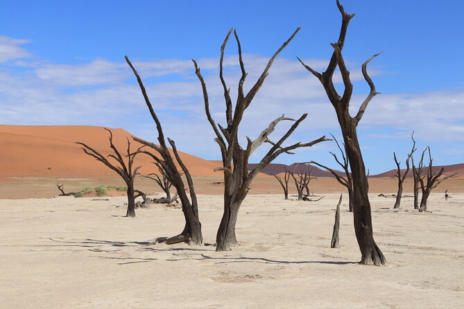 3 Day Sossusvlei Camping Schedule and Sandwich Habor - Sesriem Canyon brings a different kind of desert