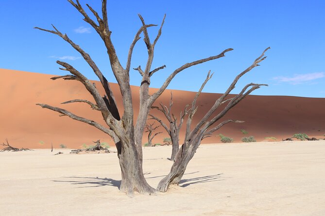 3 Day Sossusvlei Camping Schedule and Sandwich Habor - Day one: reaching the Namib Desert and Dune 45