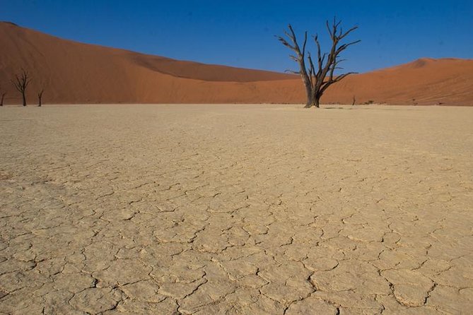 3-Day Sossusvlei Express Accommodated Safari from Swakopmund - Sossusvlei and brunch among the dunes