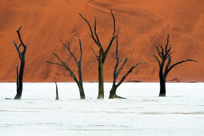 3 Days Amazing Red Dunes of Sossusvlei | Private Guided Tour - What the private format is really worth