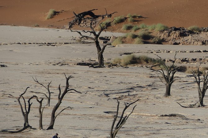 3 Days Amazing Red Dunes of Sossusvlei | Private Guided Tour - Is $1,421.67 per person good value?