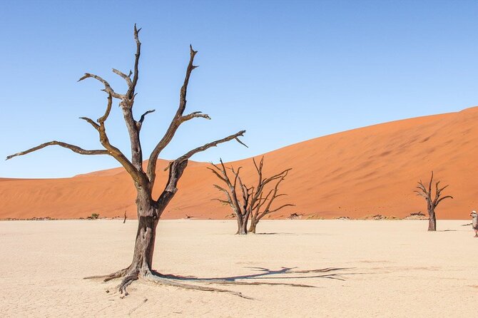 3 Days Amazing Red Dunes of Sossusvlei | Private Guided Tour - Day two: Dune 45 and the changing face of sand