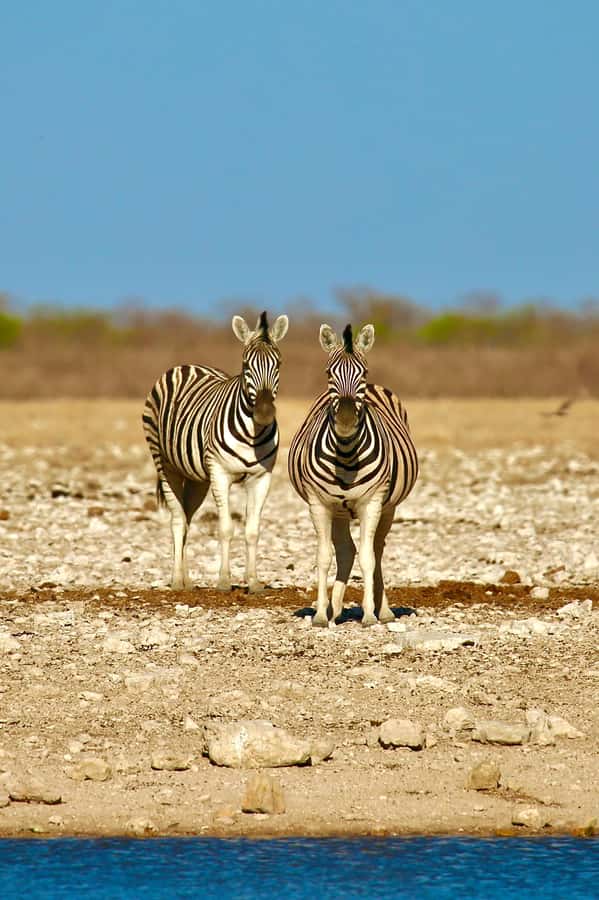4 day Sossusvlei and Swakopmund Lodging - Key points before you book