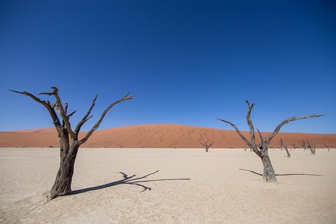 4-Day Swakopmund And Sossusvlei Accommodated Adventure from Windhoek - Should you book the Swakopmund and Sossusvlei adventure?