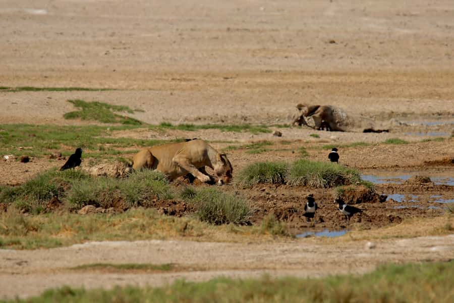5 days Sossusvlei, Swakopmund and Spitzkoppe Camping - What to pack for five desert days