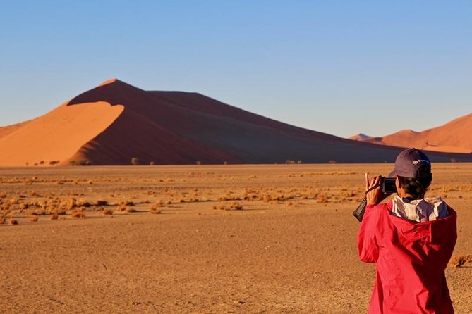 6-Day Dunes and Wildlife Accommodated Safari from Windhoek - Day 6: Cheetah conservation near Solitaire