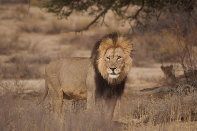 6 Day Private Guided Accommodated Namibian Loop - What This Six-Day Namibia Loop Really Delivers