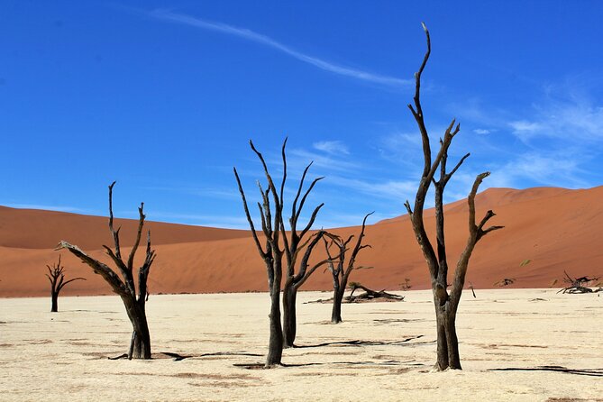 6 Day Private Guided Accommodated Namibian Loop - Day Six: A Final Desert Morning And The Road To Windhoek