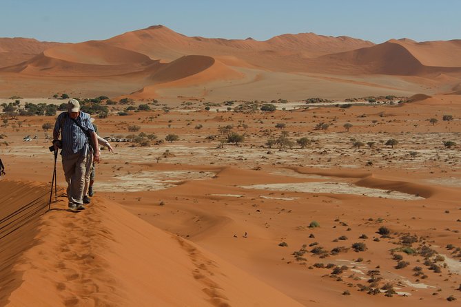 6 Day Private Guided Accommodated Namibian Loop - Lodges, Meals, And What The Price Covers