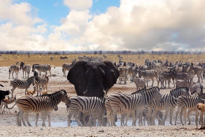 6 DAYS ETOSHA,SWAKOPMUND & SOSSUSVLEI- NAMIBIA (Lodging) - Day 1: From Windhoek to Etosha by way of Okahandja