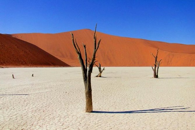 7 Day - Kalahari TOP attractions - The guide and vehicle can shape the whole trip