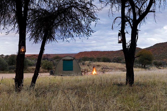 7 Day Northern Namibia and Skeleton Coast Camping Safari - Day 2: Entering Etosha through Okaukuejo