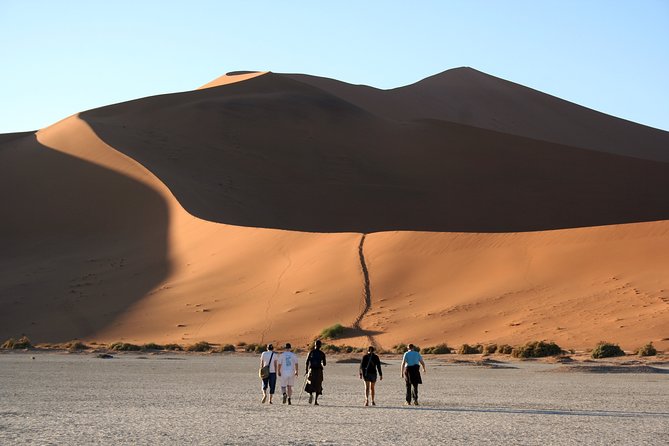 7 Day Southern Namibia and Sossusvlei Camping Safari - Day 6: Fish River Canyon and quiver trees