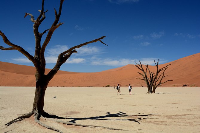 7 Day Southern Namibia and Sossusvlei Camping Safari - Day 7: Sunrise and the long road back