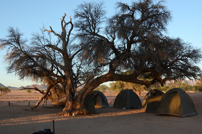 7 Day Southern Namibia and Sossusvlei Camping Safari - Day 1: From Windhoek to flamingos and Swakopmund