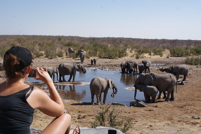 7 Day Taste of Namibia Lodging Safari - Day 2: Driving north to Etosha