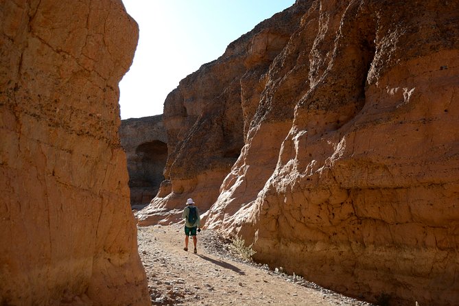 9 Day Canyons, Dunes & Wildlife Camping and Lodge Safari - Day 7: Kolmanskop, Lüderitz, and the wild horses of Aus