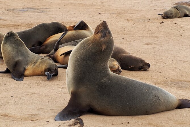 9 Day Etosha, Skeleton Coast and Sossusvlei Camping and Lodge Safari - Day 5: Entering the Skeleton Coast